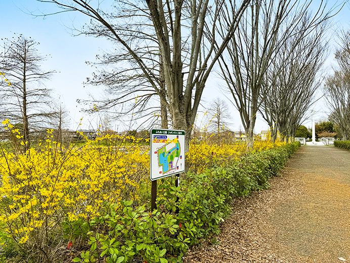 美恵子さんの散歩コース「ふれあい公園」