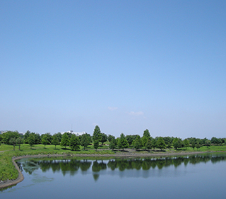 いずみの公園イメージ